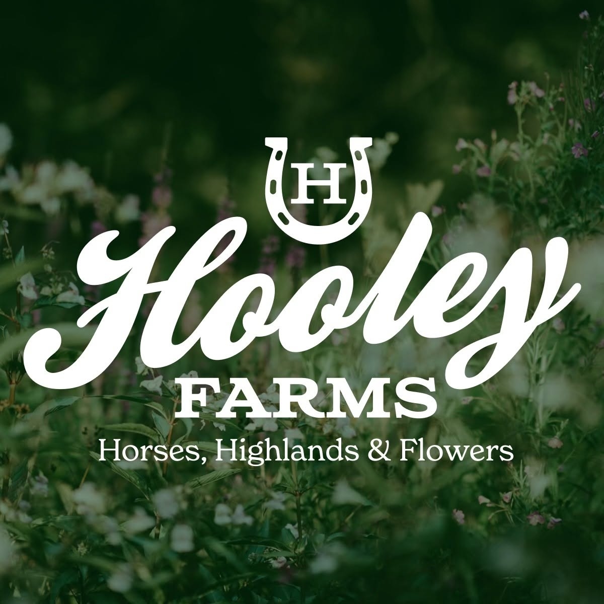 Hooley Farms